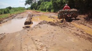 Kakuuto Residents Demand Urgent Road Rehabilitation to Boost Trade and Agriculture