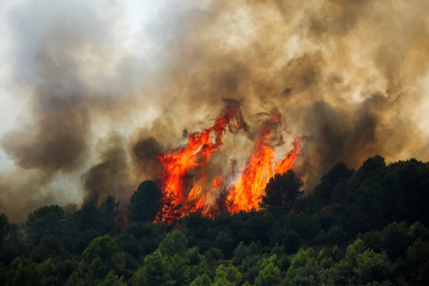 Spain Fire Stabilises as France Battles Intensifying Wildfires